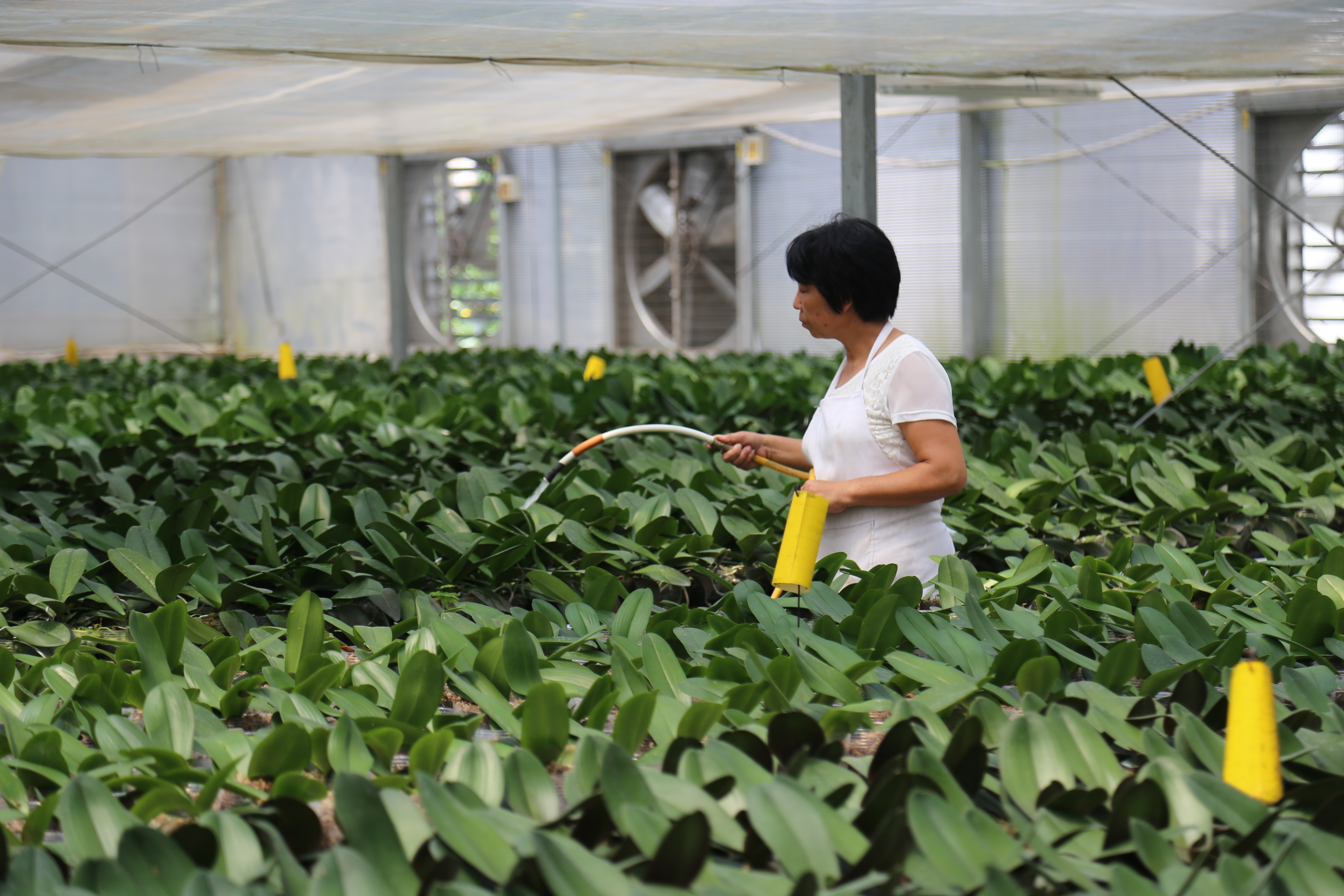 ɾ_r񄓘I@aںϡɳmѭhGɫaIlչ