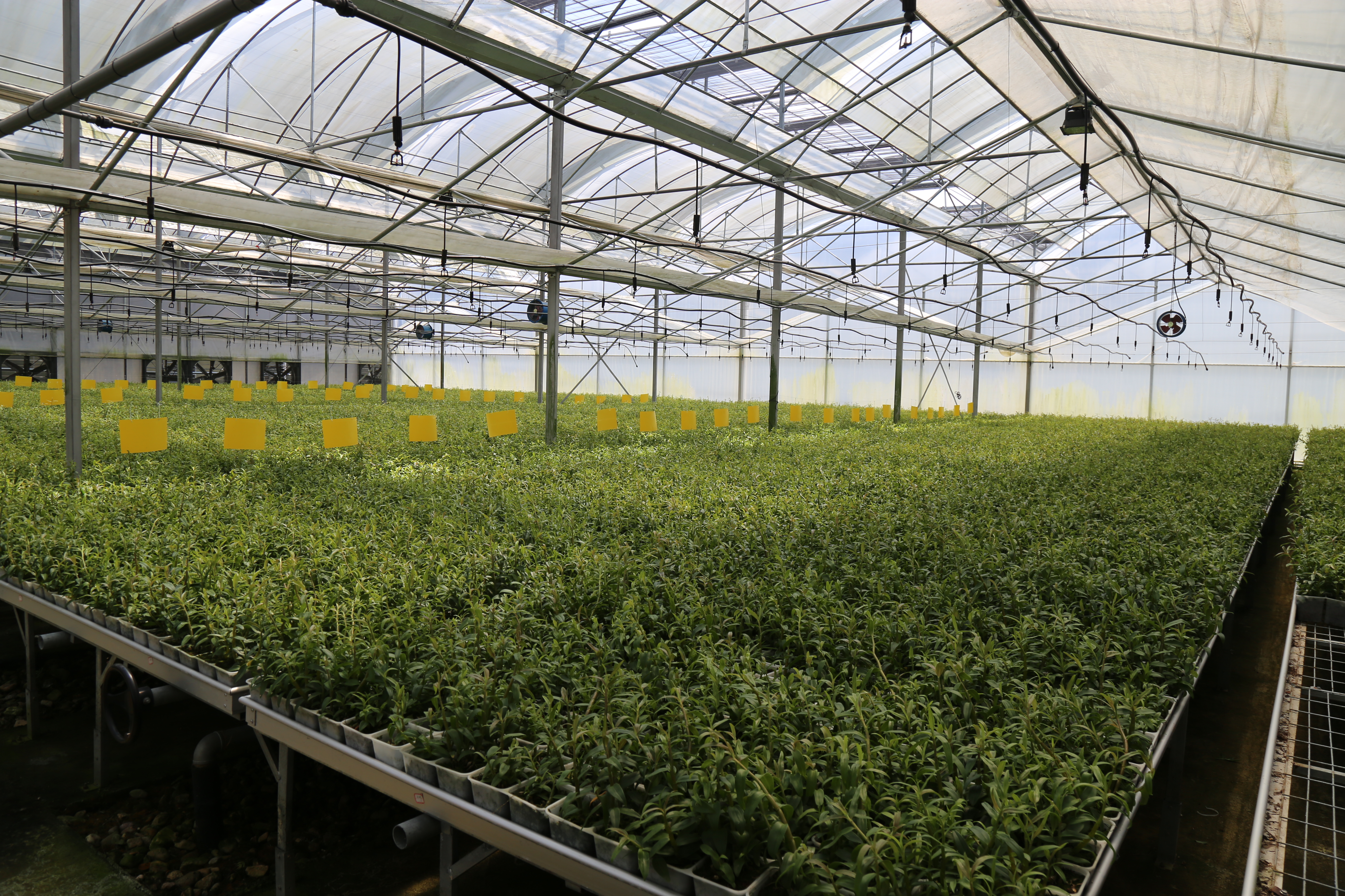 ɾ_r񄓘I@aںϡɳmѭhGɫaIlչ