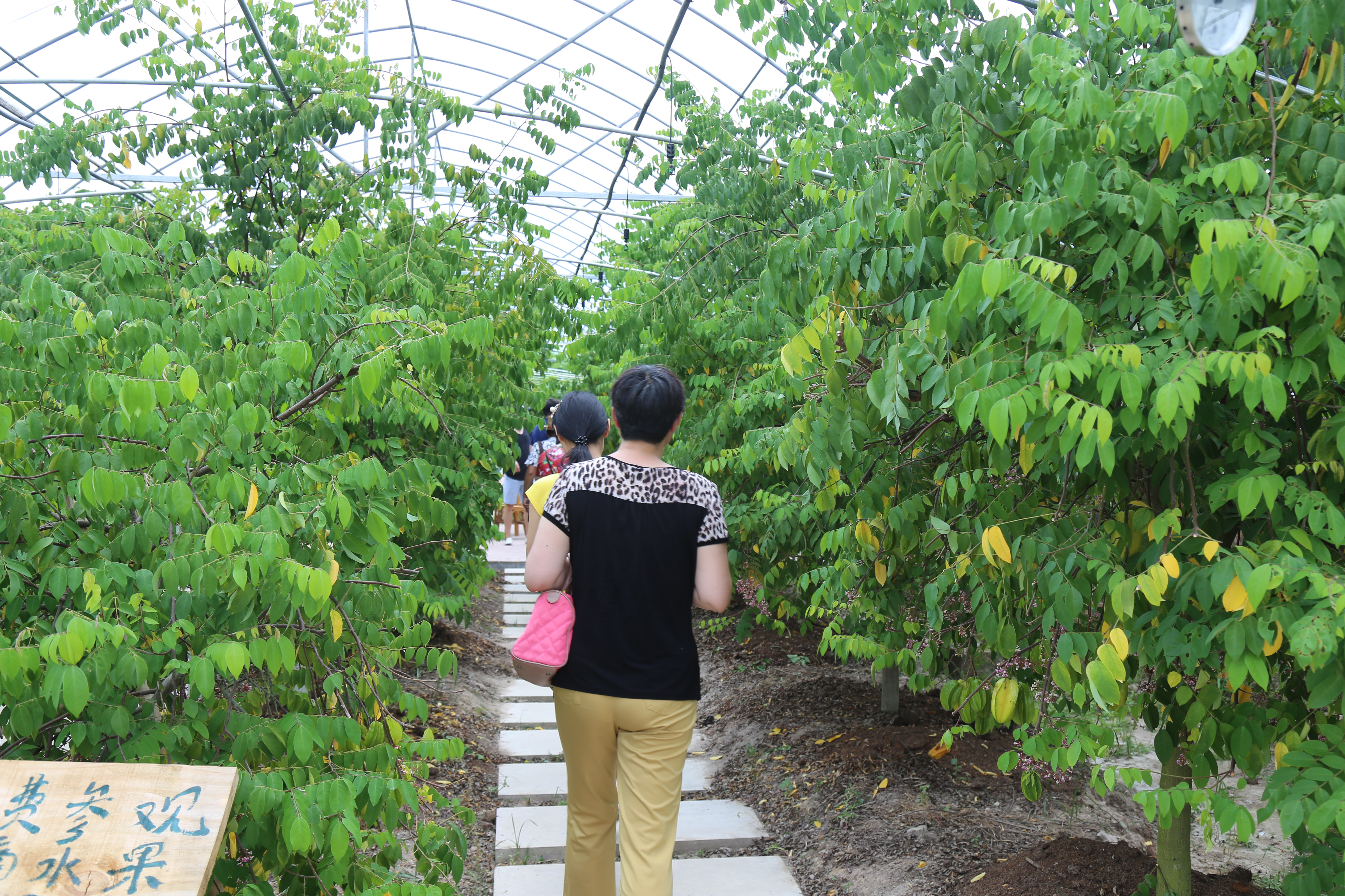 ɾ_r񄓘I@aںϡɳmѭhGɫaIlչ