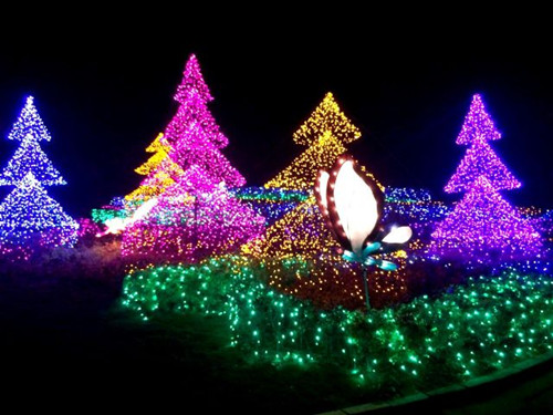 臺灣北海岸展繽紛圣誕燈飾 打造冬日秘密花園 臺灣北海岸展繽紛圣誕燈飾 打造冬日秘密花園