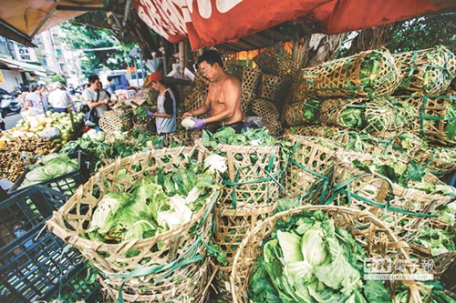 臺北農產頻繁休市致菜價崩盤 民進黨“綠色執政”成農民受害保證 臺北農產頻繁休市致菜價崩盤 民進黨“綠色執政”成農民受害保證