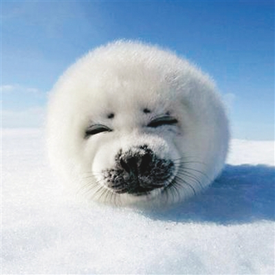 臺(tái)灣政客“失言集”:什么時(shí)候說(shuō)的是真心話? 臺(tái)灣政客“失言集”:什么時(shí)候說(shuō)的是真心話?