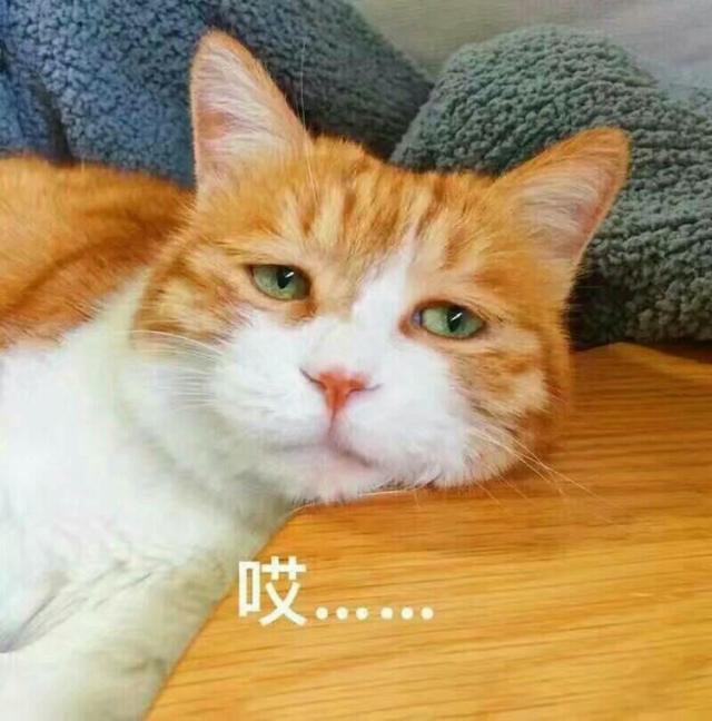 ²۴_ҪŮѡl(wi)ϴ^áWRˣ