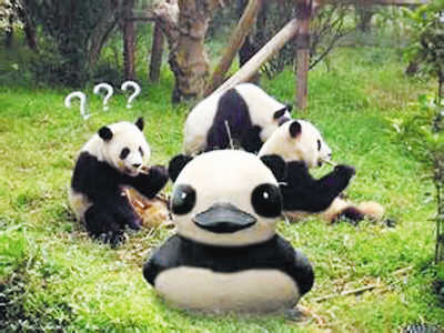 ��؈�����_�����߼t���S������؈�������w���D��