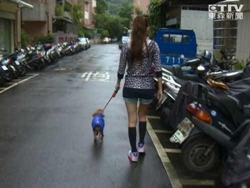 女孩綁馬尾穿短褲遛狗可愛(ài)甜美網(wǎng)絡(luò)爆紅(圖)