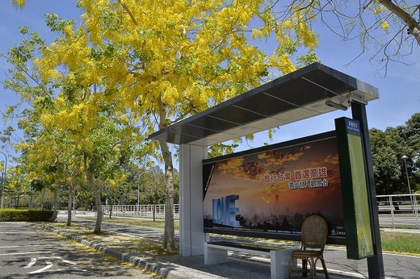 高雄的阿勃勒熱烈盛放中。(臺媒圖) 高雄的阿勃勒熱烈盛放中。(臺媒圖)