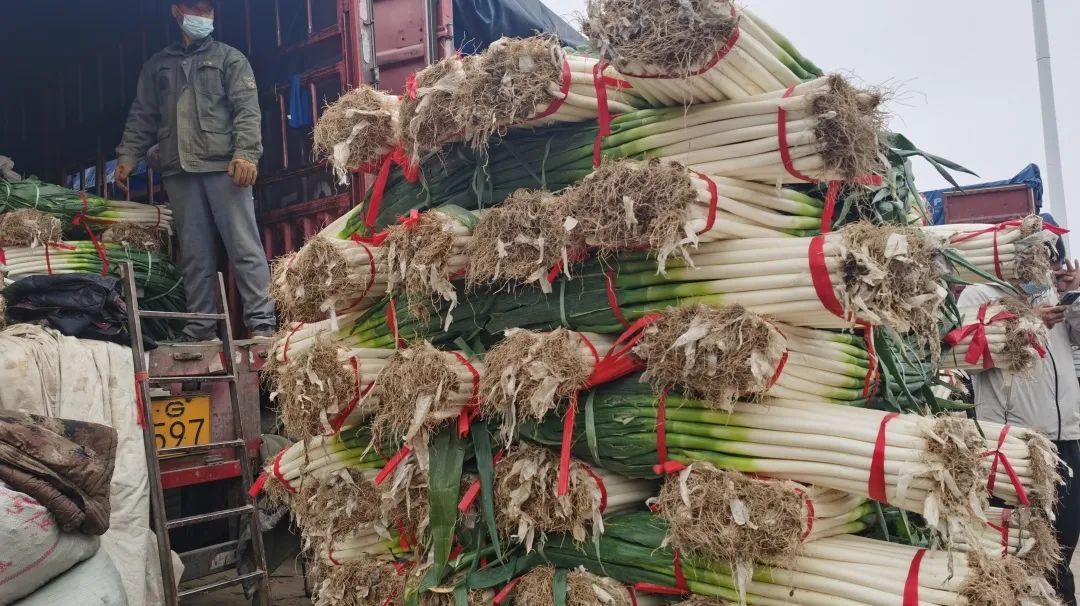 �����f�R�r���У��°l���������������׶����˻@�ӡ���������