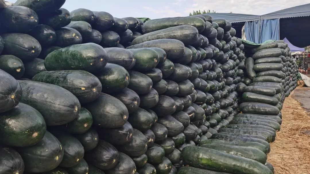 �����f�R�r���У��°l���������������׶����˻@�ӡ���������