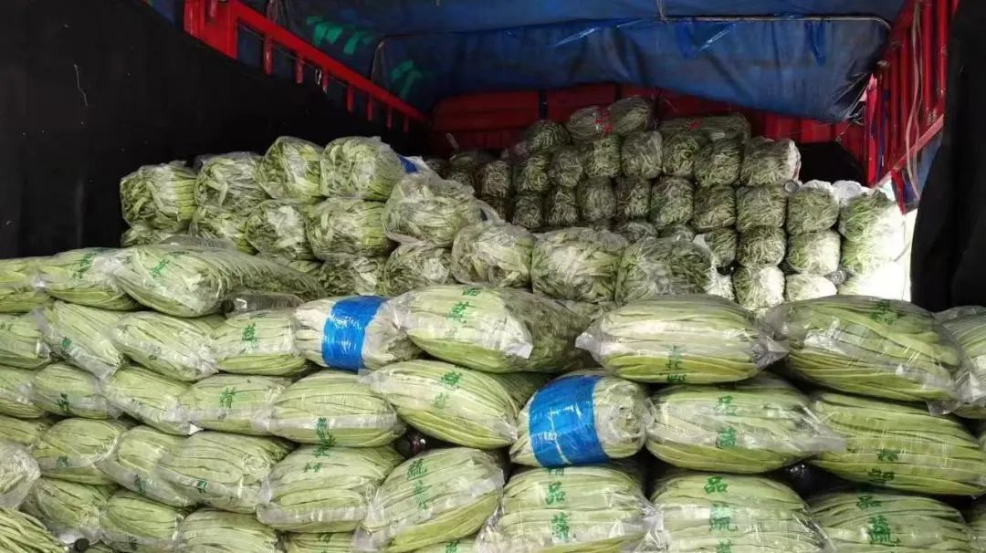 �����f�R�r���У��°l���������������׶����˻@�ӡ���������