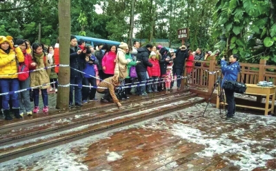 罕見寒潮致部分地區(qū)受災(zāi) 蔬菜噴防凍液仍被凍爛 罕見寒潮致部分地區(qū)受災(zāi) 蔬菜噴防凍液仍被凍爛