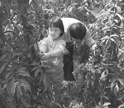 山西五臺縣陽白村:念好“循環經” 脫貧成標桿 山西五臺縣陽白村:念好“循環經” 脫貧成標桿