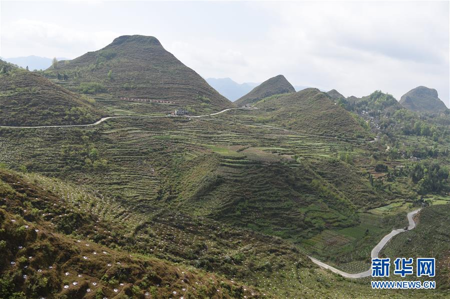 ���Q��(zh��n)�Q��Óؚ����(ji��n)���D�Ļ���(d��ng)����1�����(xi��ng)����Ų��a(b��)�RÓؚ����(ji��n)���̰塱�����F����¡�h��ؚһ������Ҋ