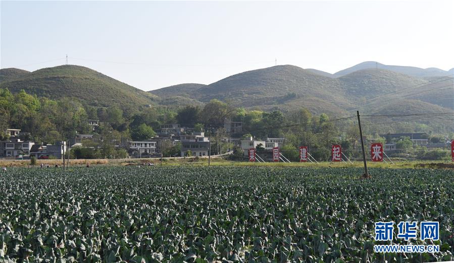 ���Q��(zh��n)�Q��Óؚ����(ji��n)���D�Ļ���(d��ng)����2�����(xi��ng)����Ų��a(b��)�RÓؚ����(ji��n)���̰塱�����F����¡�h��ؚһ������Ҋ