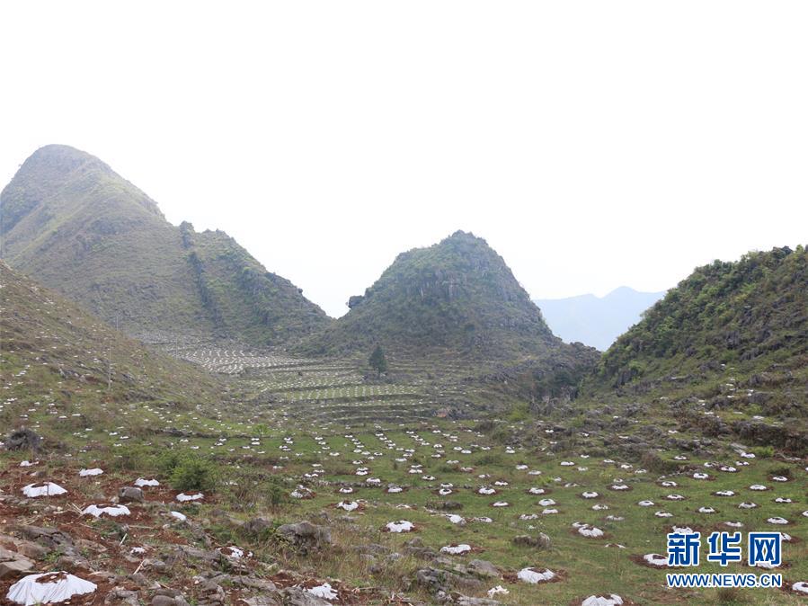 ���Q��(zh��n)�Q��Óؚ����(ji��n)���D�Ļ���(d��ng)����4�����(xi��ng)����Ų��a(b��)�RÓؚ����(ji��n)���̰塱�����F����¡�h��ؚһ������Ҋ