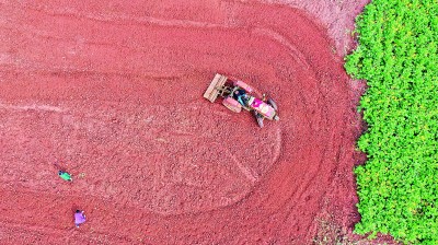 �Ї���݆ �з����h�������f��ʮ���塱�_�ֵ�ϲ�˳ɿ�