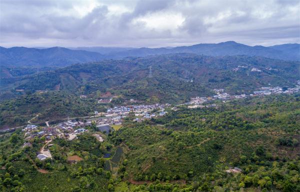 這杯咖啡里,洋溢著山鄉(xiāng)振興的香氣