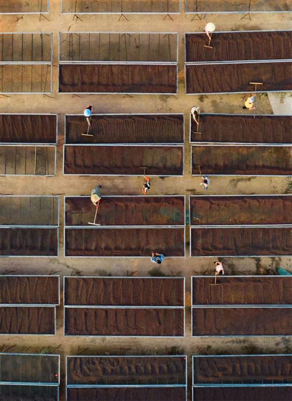 這杯咖啡里,洋溢著山鄉(xiāng)振興的香氣