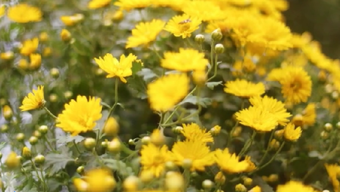 ���W�j�Ї������Ĵ����������ꖹ��������˽�᣿