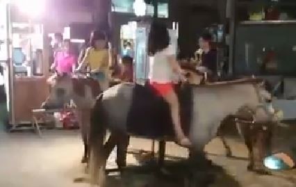 臺灣樂華夜市驚見“活體旋轉木馬”網友批:太殘忍。(臺媒圖) 臺灣樂華夜市驚見“活體旋轉木馬”網友批:太殘忍。(臺媒圖)