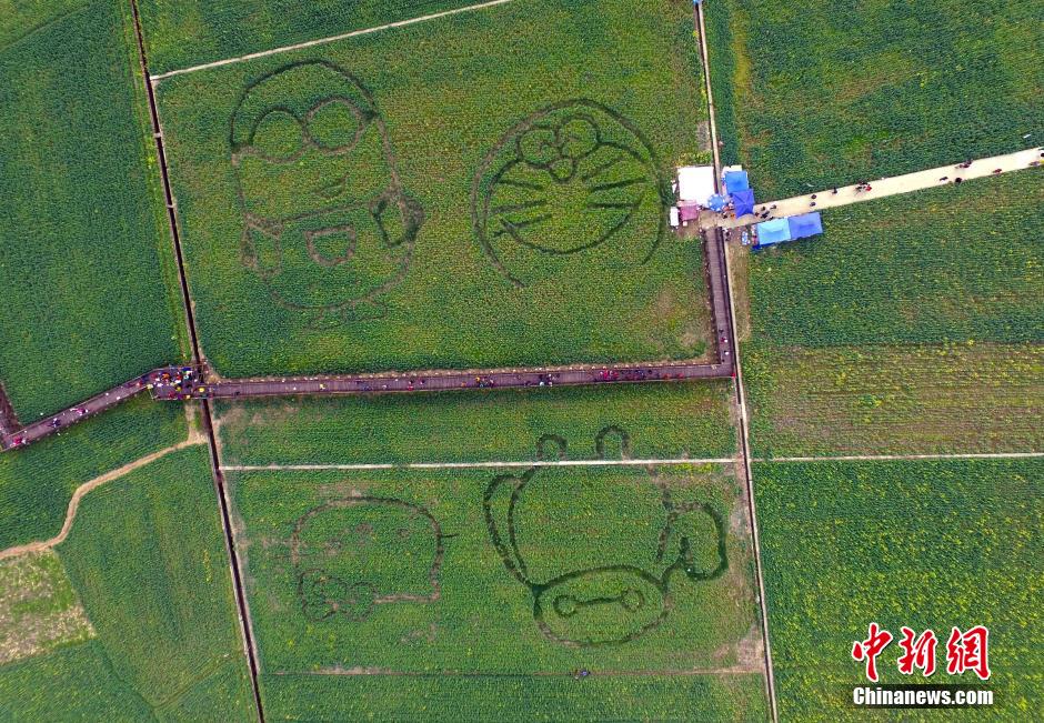 �ɶ��¶��^(q��)�����(zh��n)�Ͳ˵����Ĕz�����ġ��͈D���͡�l(f��)ove����marry me����Ӣ����ĸ�D����