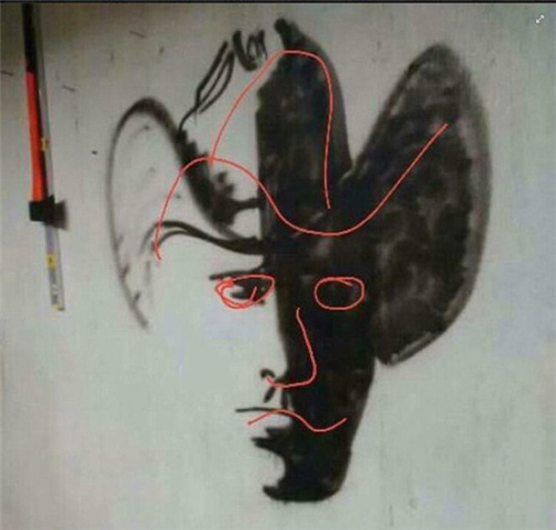 圖中的紅線顯示出人臉輪廓,但只有通過正確方式觀看才能顯現出來。(網頁截圖)