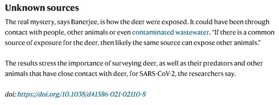 環球深觀察丨美式“政治病毒”之惡:拼命掩蓋的真相是什么