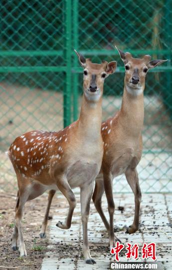 uɭֹ@_÷¹һ˶dD_÷¹ֵ̝B z